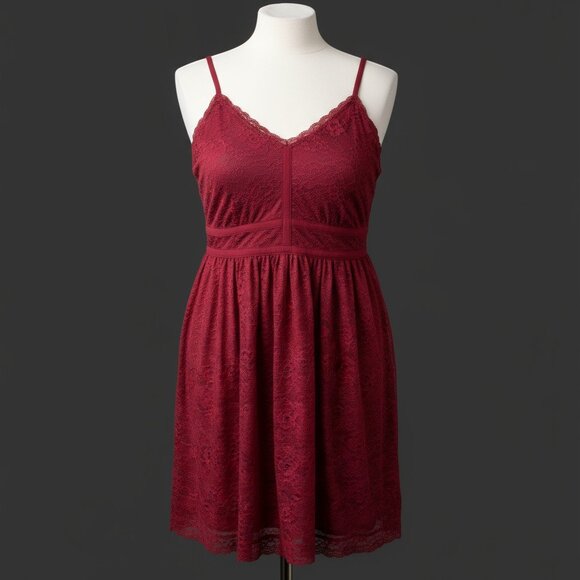 💕 Torrid Burgundy Lace Fit & Flare Dress – Size 3 (Plus 3X) – 2017 Collection - Picture 1 of 4
